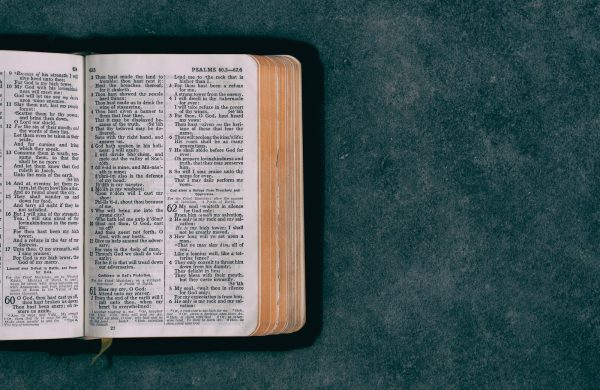 open pocket bible on green surface